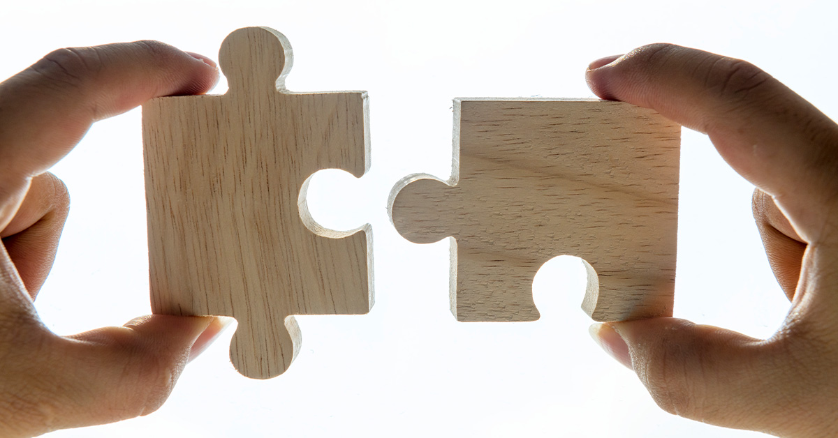 Choosing a Knowledge Management Software Partner